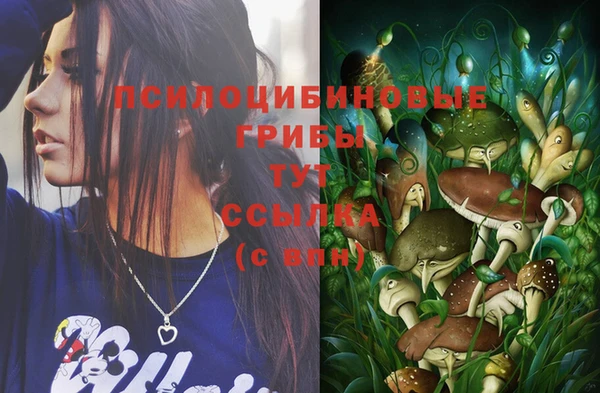 MESCALINE Вяземский