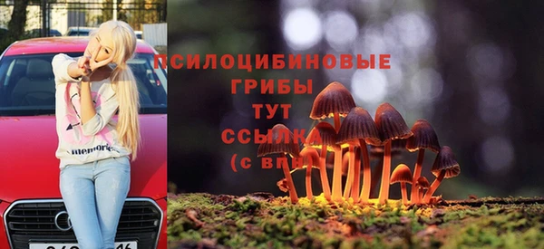 MESCALINE Вяземский