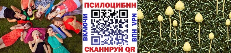 где продают   KRAKEN зеркало  Галлюциногенные грибы Psilocybine cubensis  Остров 